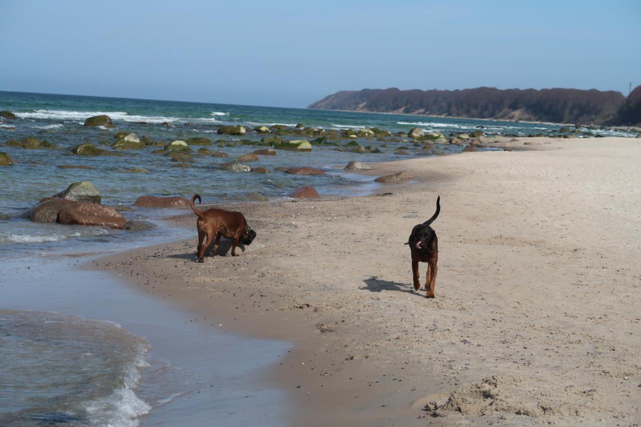 Fewowiek39 Wiek auf Rügen Eksteriør bilde